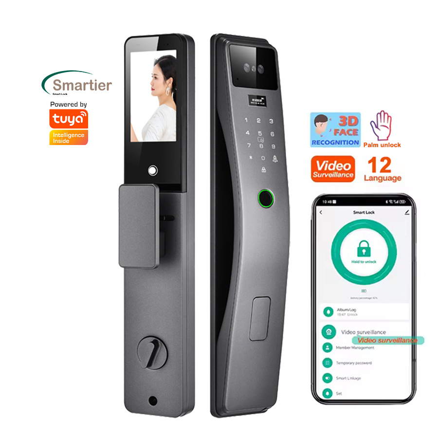 Smartier 3D Face Recognition S - 3D Printing Steel のレビューと価格